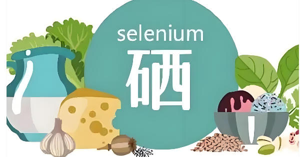 为什么补硒能促进钙的吸收？